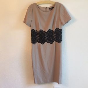 Alex Marie Tan Black lace midi dress business